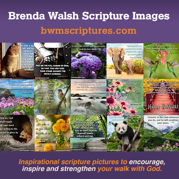 Inspirational Scripture pictures to encourage, inspire and strengthen your walk with God.